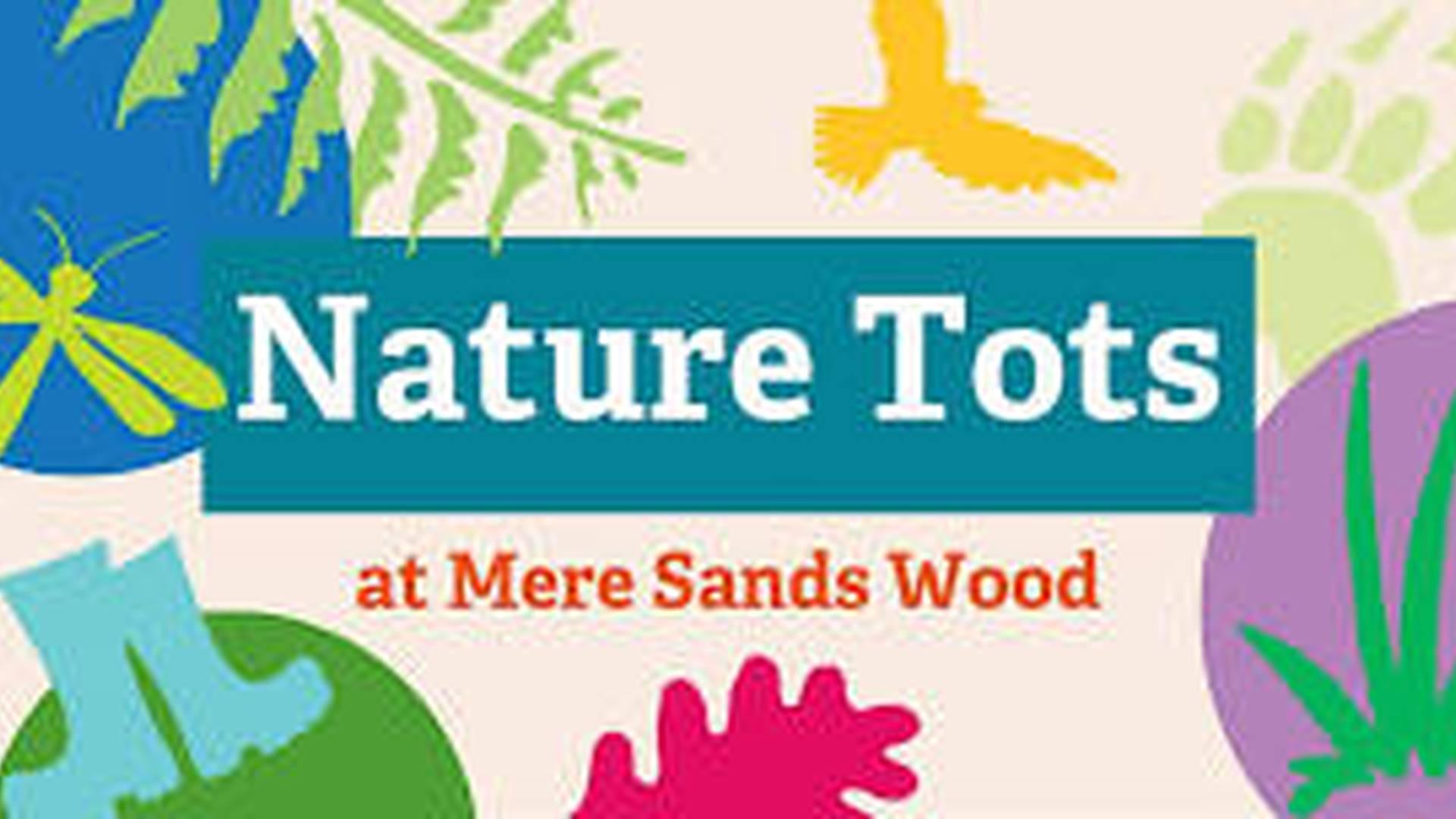 Nature Tots at Mere Sands Wood Nature Reserve - 19th February 2024 photo