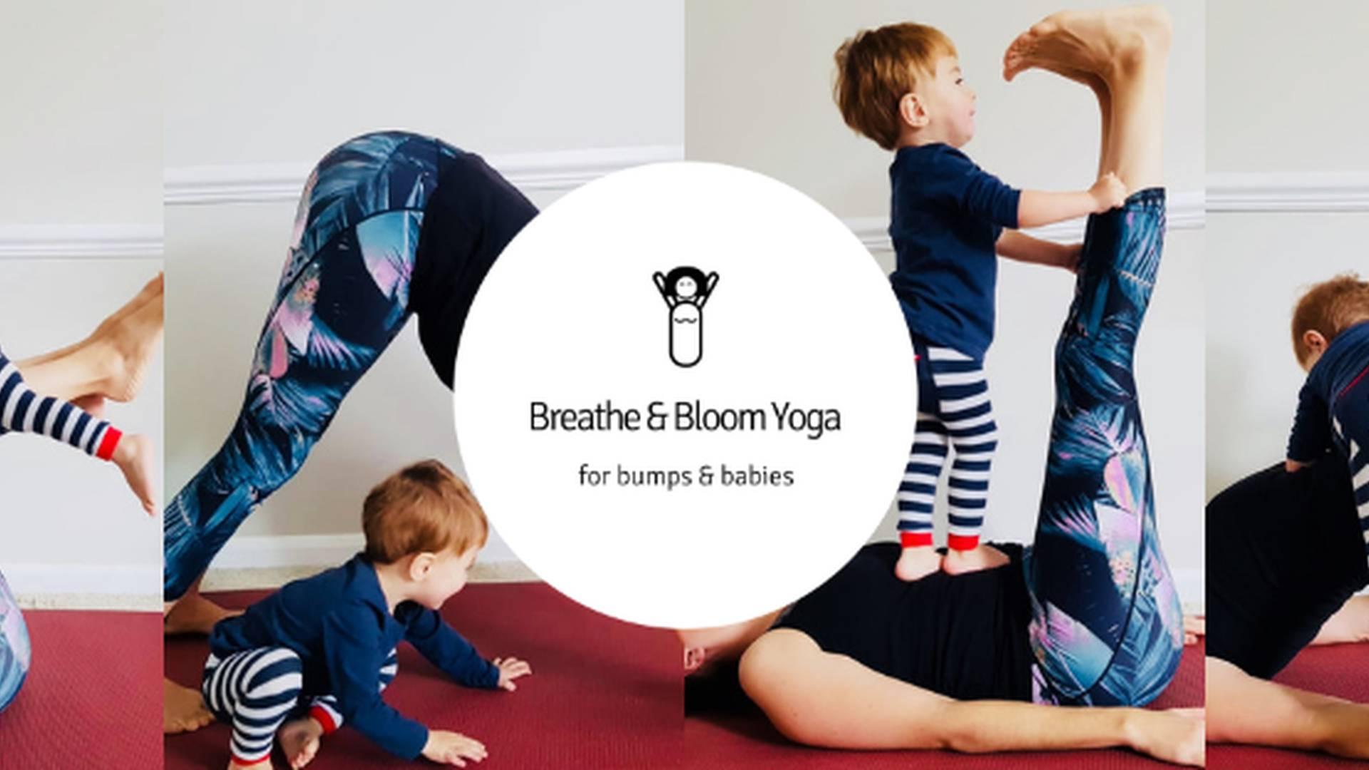 Breathe & Bloom Yoga photo