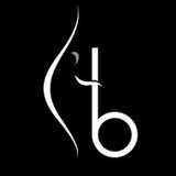Bodybarre logo