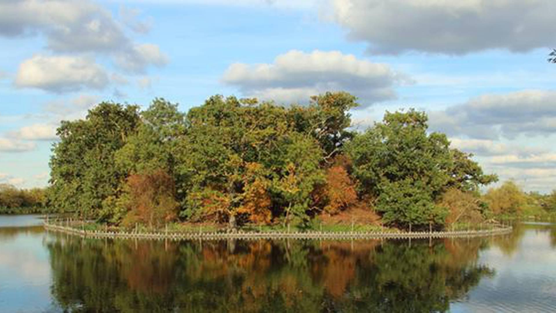 Walthamstow Wetlands photo