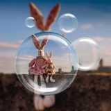 Bopping bunnies logo