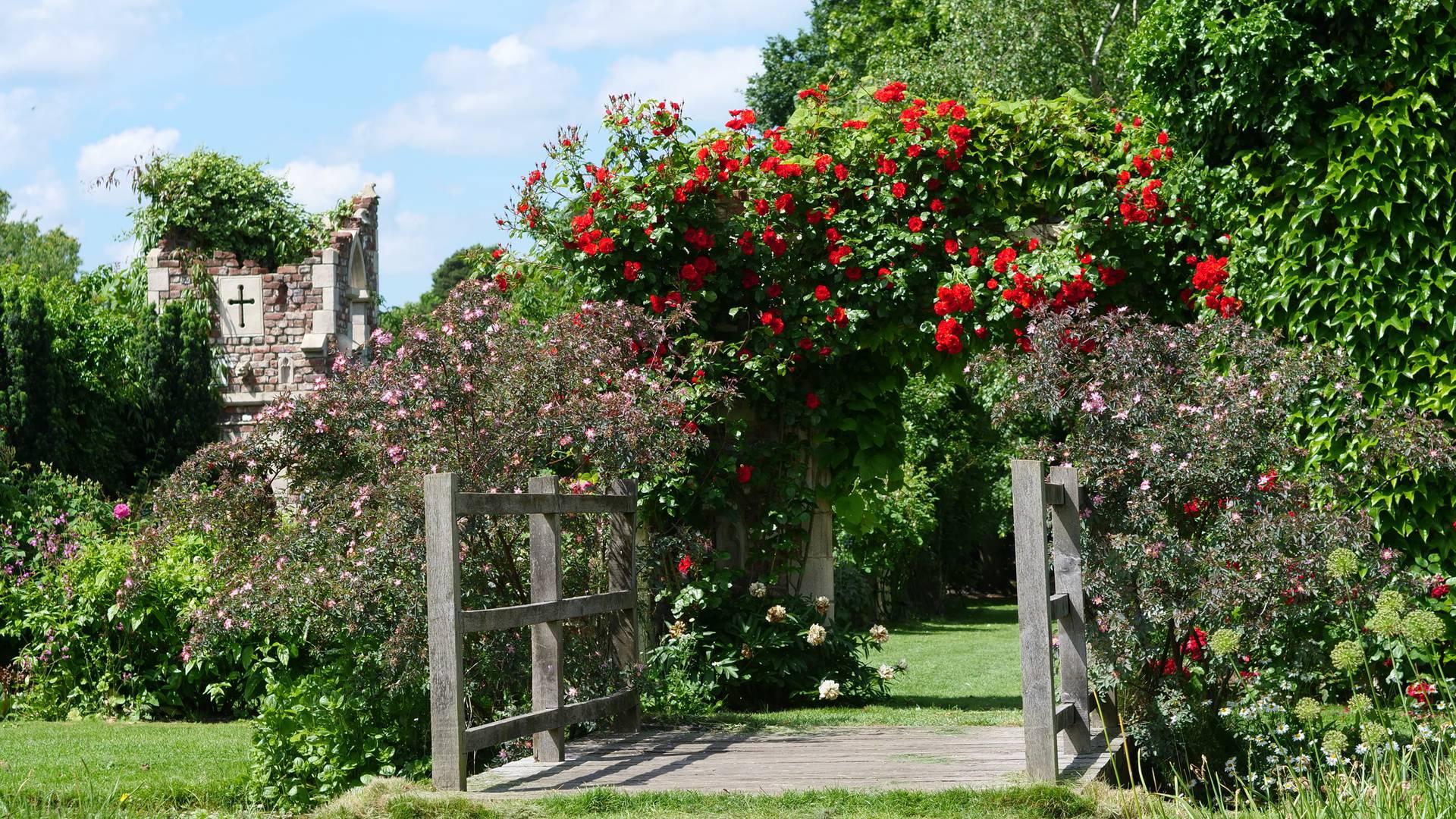 Capel Manor Gardens photo
