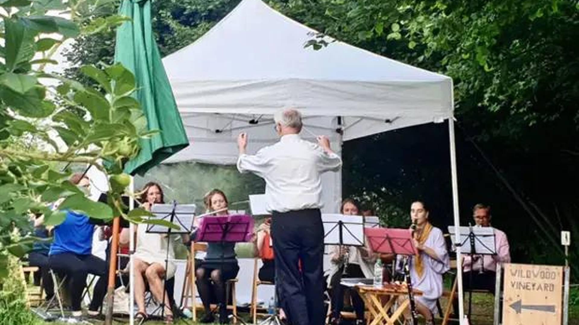 Concert In The Vineyard photo