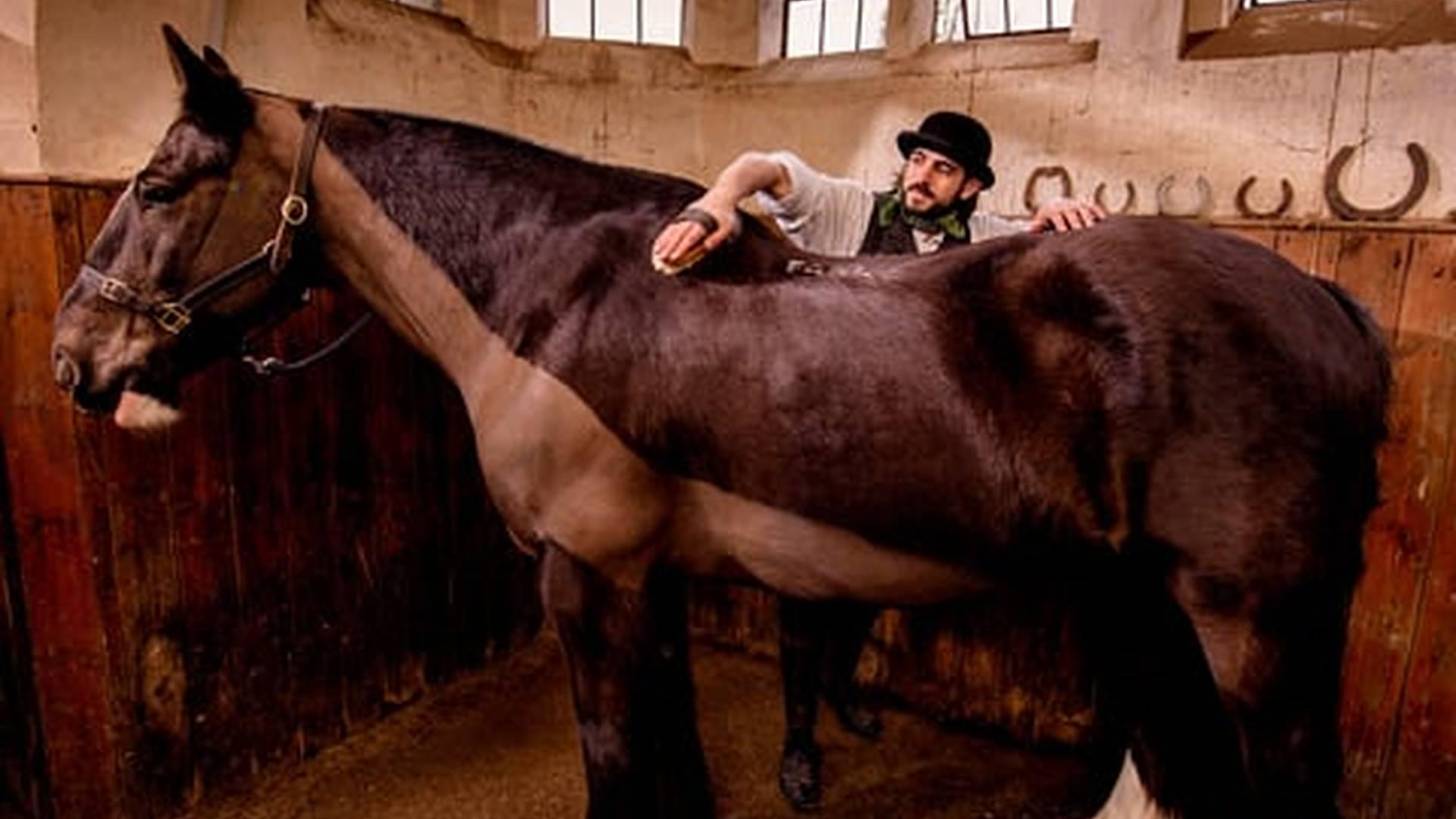 Members' Week: photo