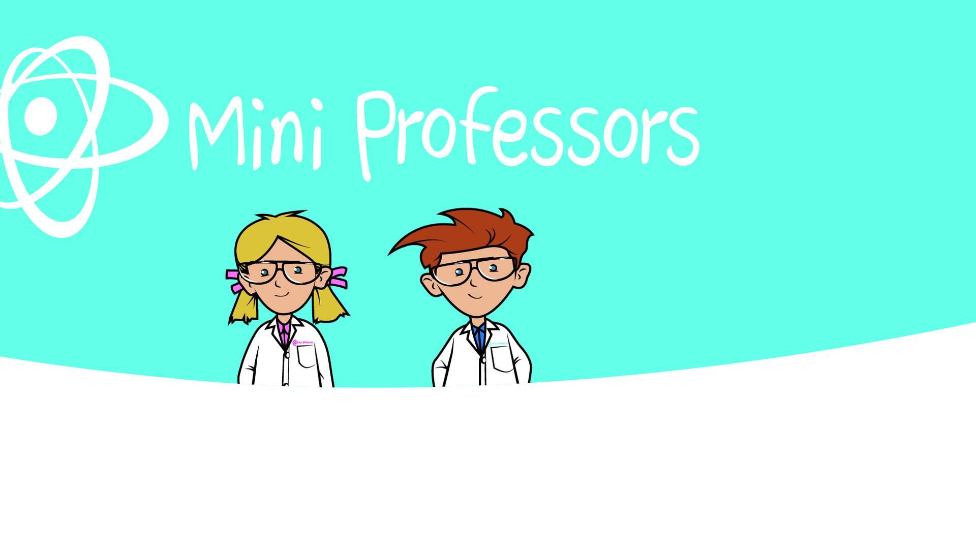 Mini Professors photo