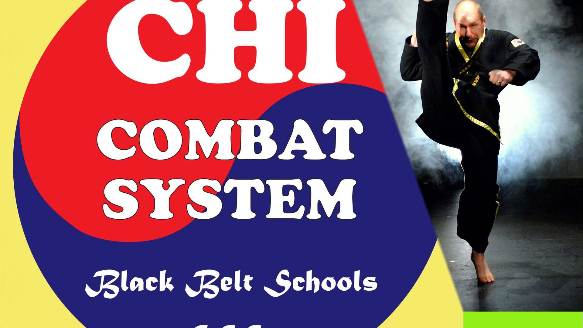 Chi Combat System photo