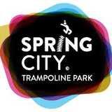 Spring City Ltd logo