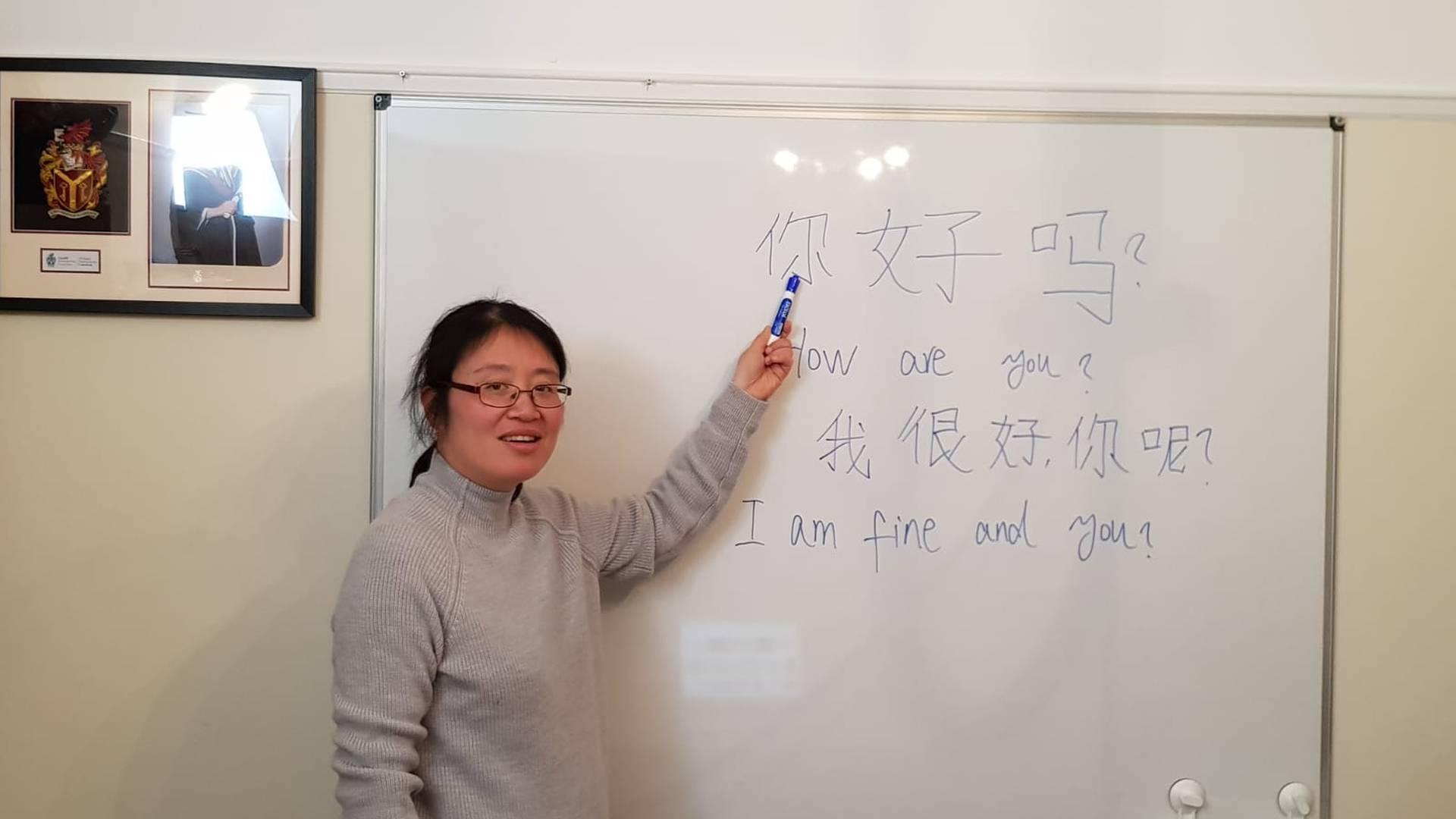 Mandarin Language Training photo