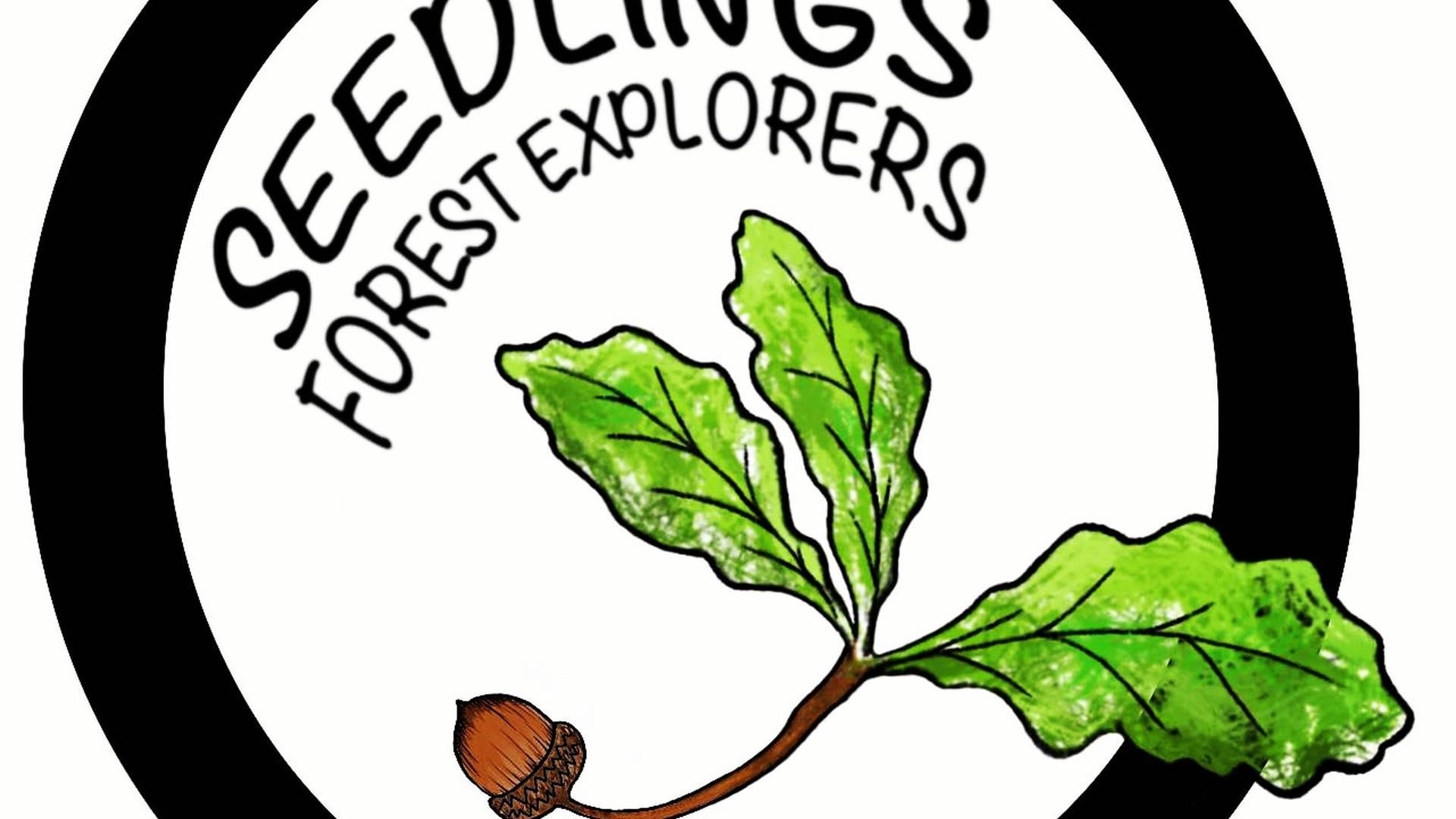 Seedlings Forest Explorers photo