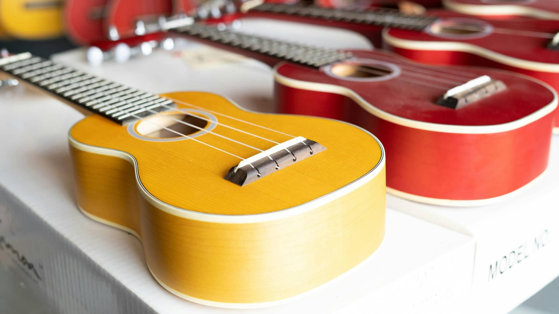 Uke & You (3-5 yrs) photo