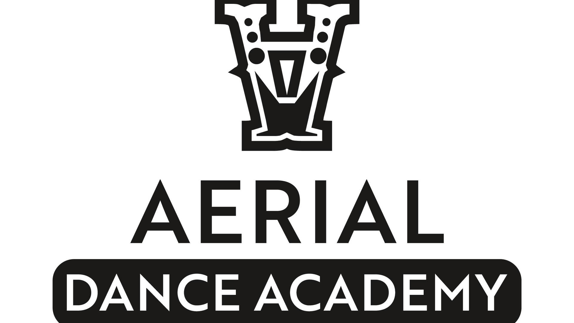 Aerial Dance Academy photo