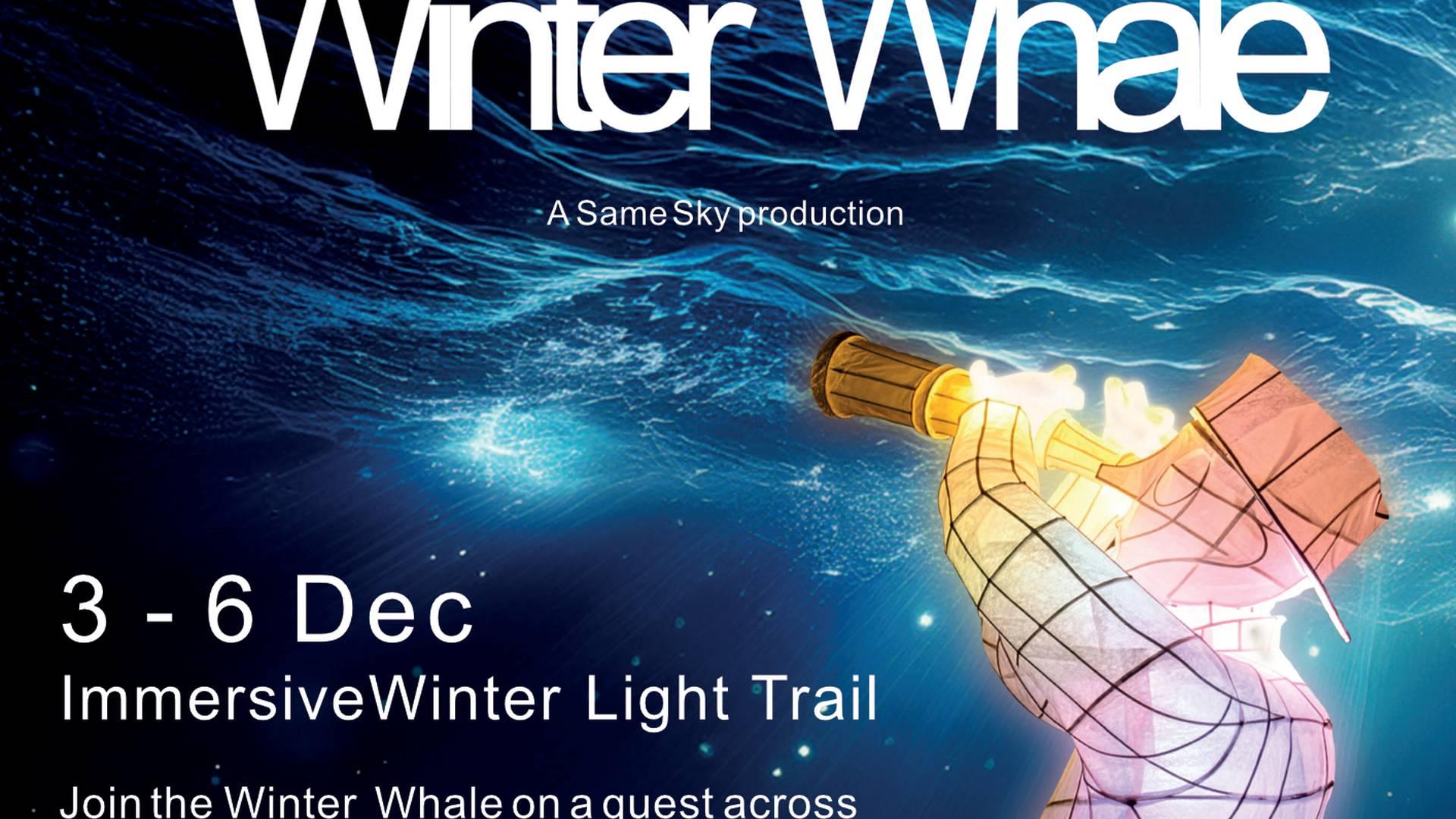 The Tale of a Winter Whale photo