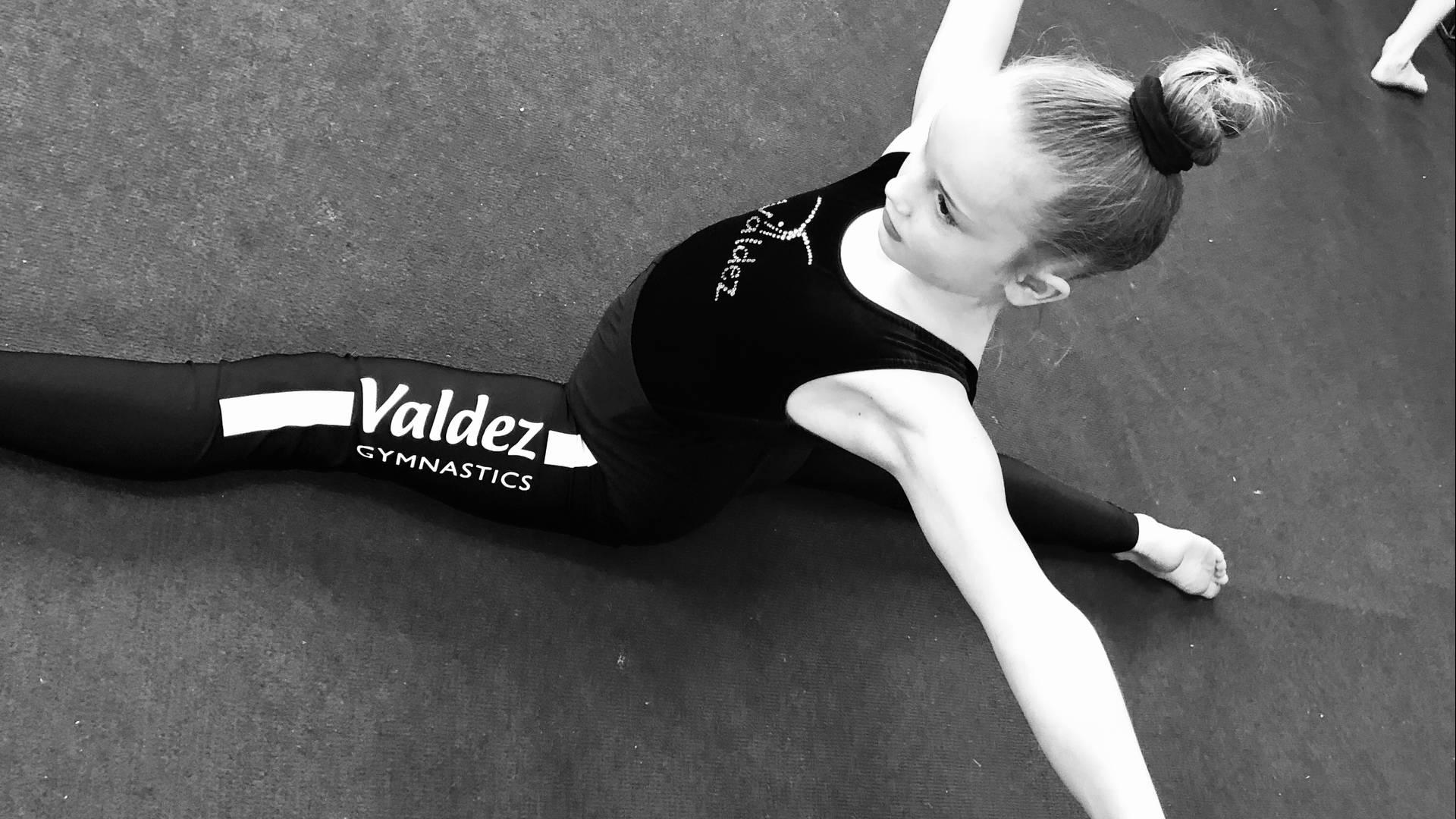Valdez Gymnastics photo