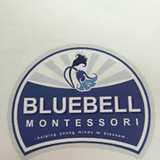 Bluebell Montessori Pyrford logo