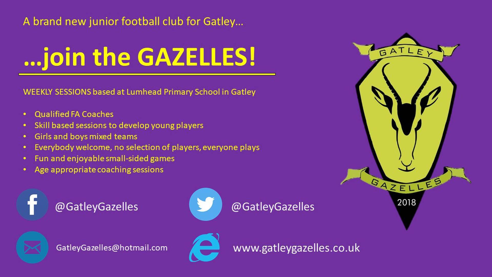 Gatley Gazelles Junior Football Club photo
