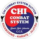 Chi Combat System logo