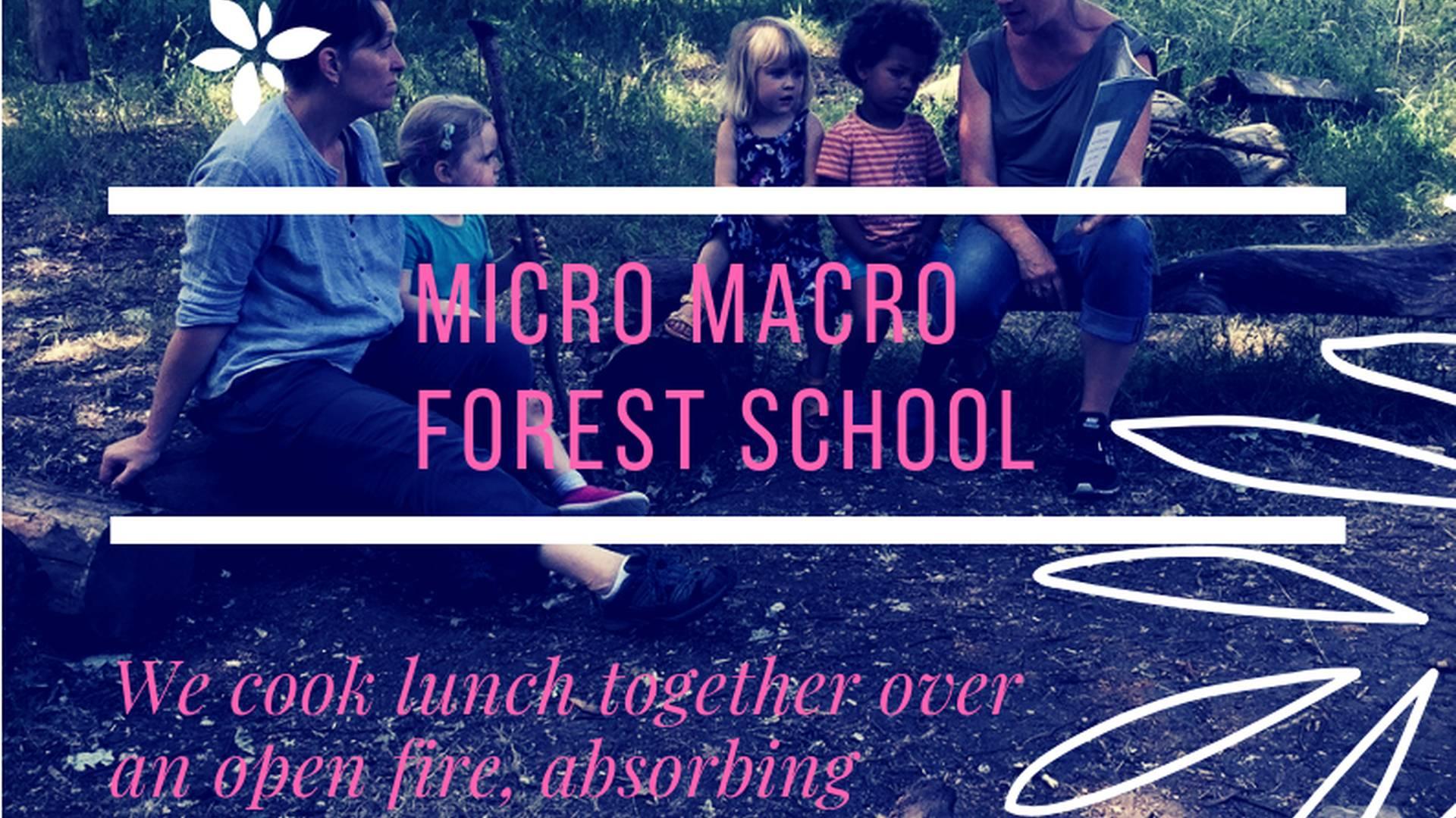 Micro Macro Family Forest School Sessions photo