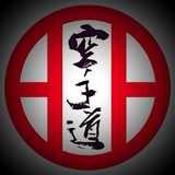Snw Karate logo