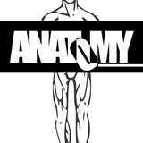 Anatomy Arts logo