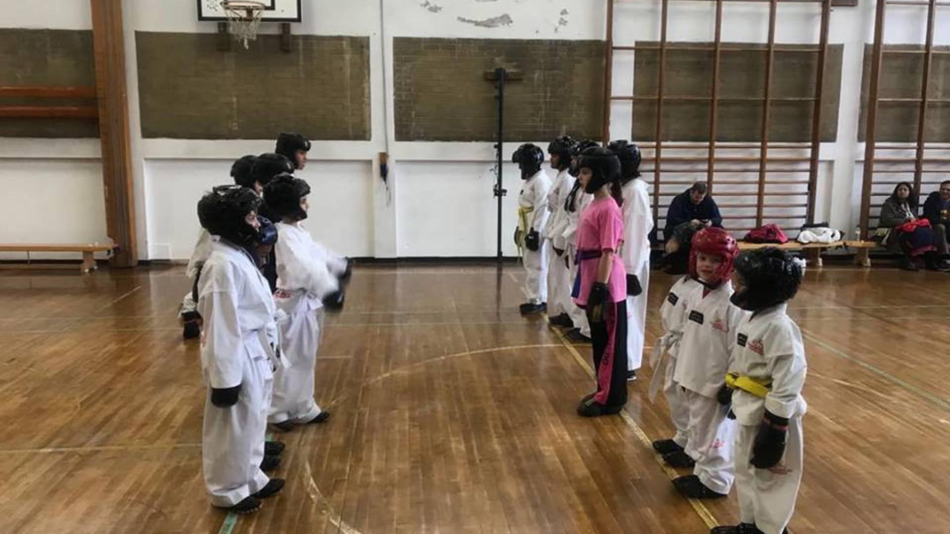 North London Schools of Taekwondo photo