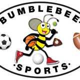 Bumblebee Sports logo