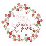 Seeds of Love Baby Massage and Yoga logo