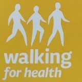 Bumps to Buggies Walk for Health logo