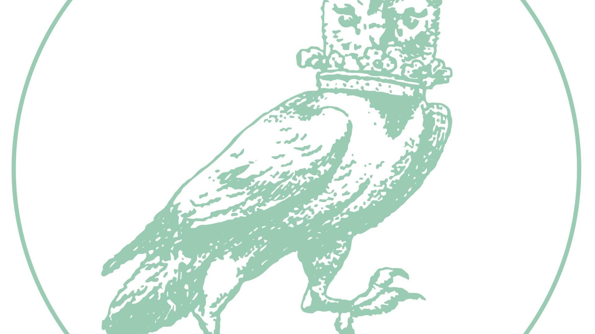 Birdsall Pleasure/Fun Ride photo