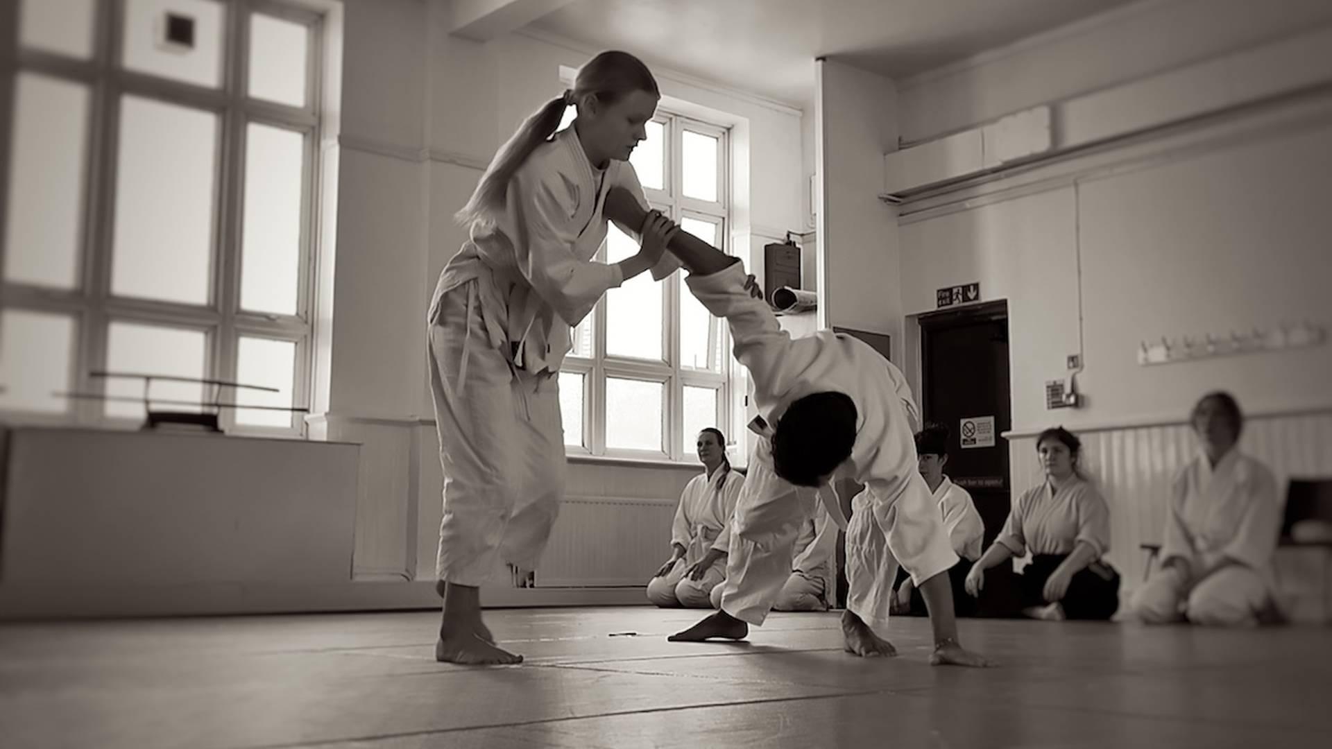 Aikido for children 8-15 yrs old photo