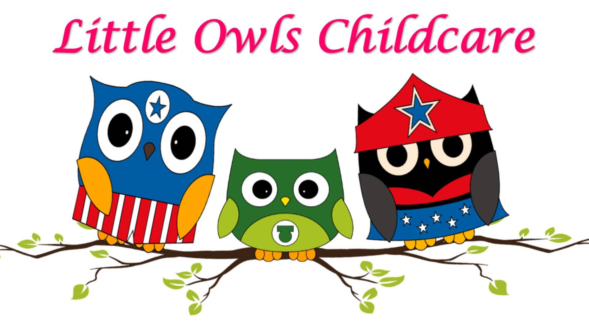 Little Owls Childcare photo