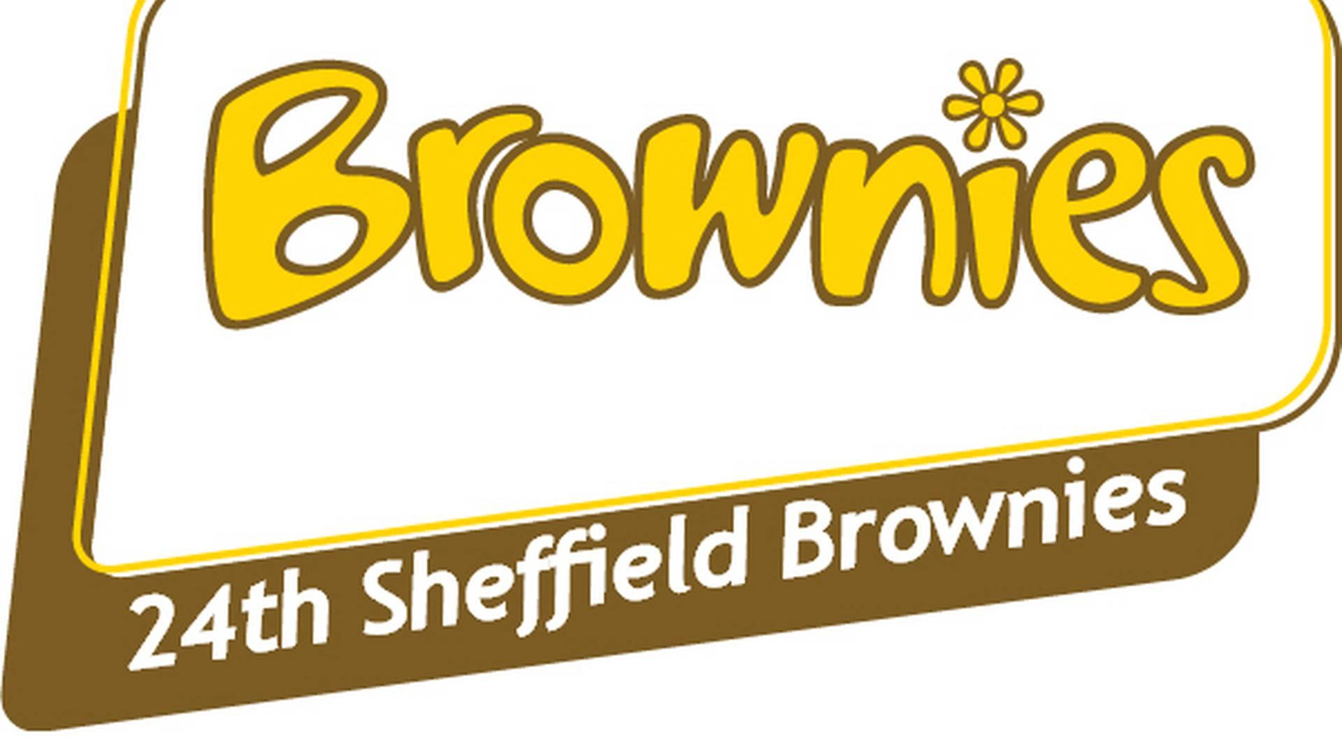 24th Sheffield Brownies photo