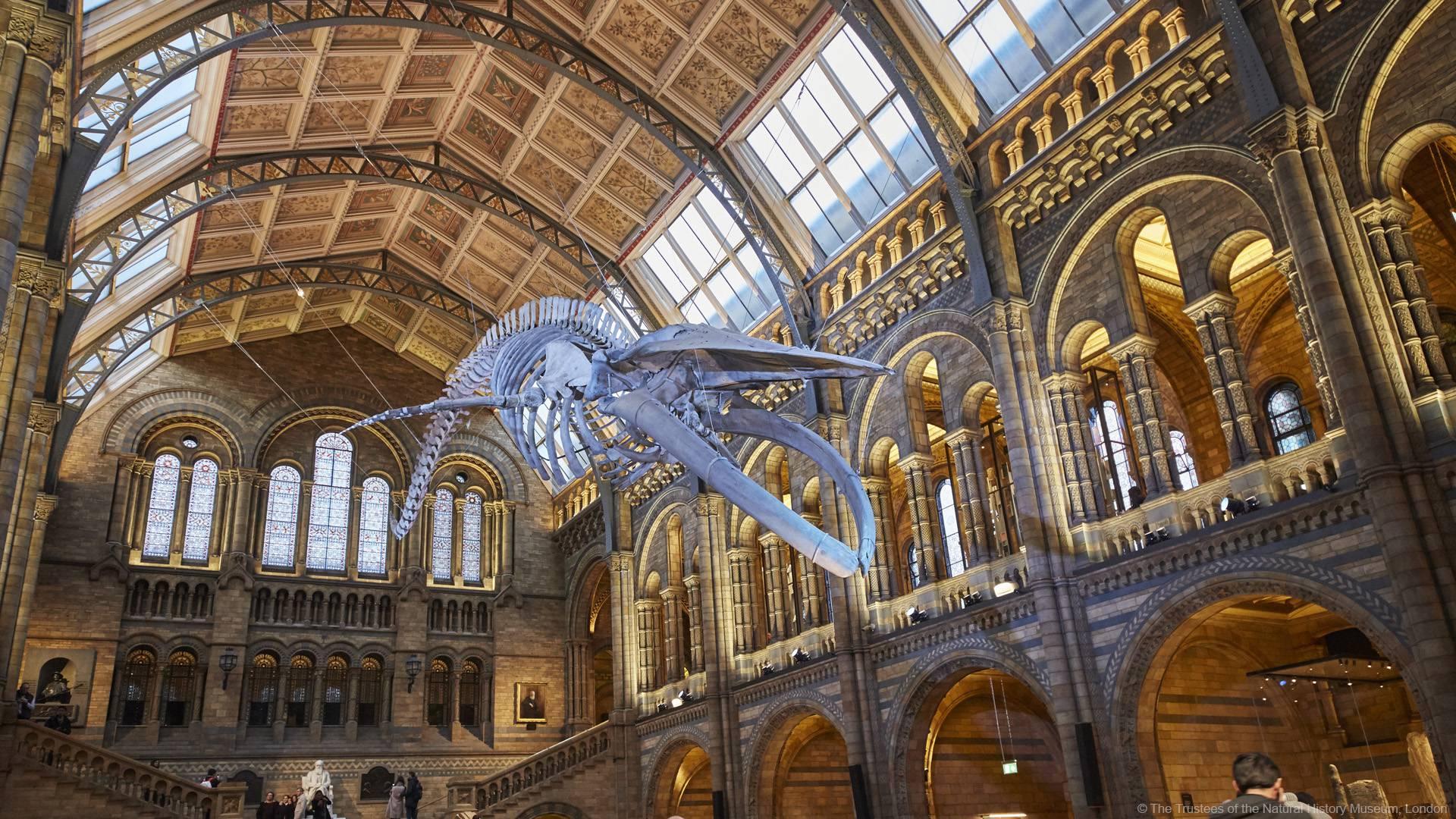 Natural History Museum, London photo