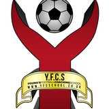 Youngs Football Coaching School logo