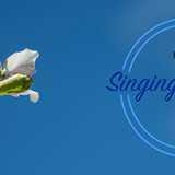 Singingtreeyoga logo