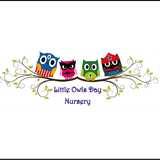 Little Owls Childcare logo