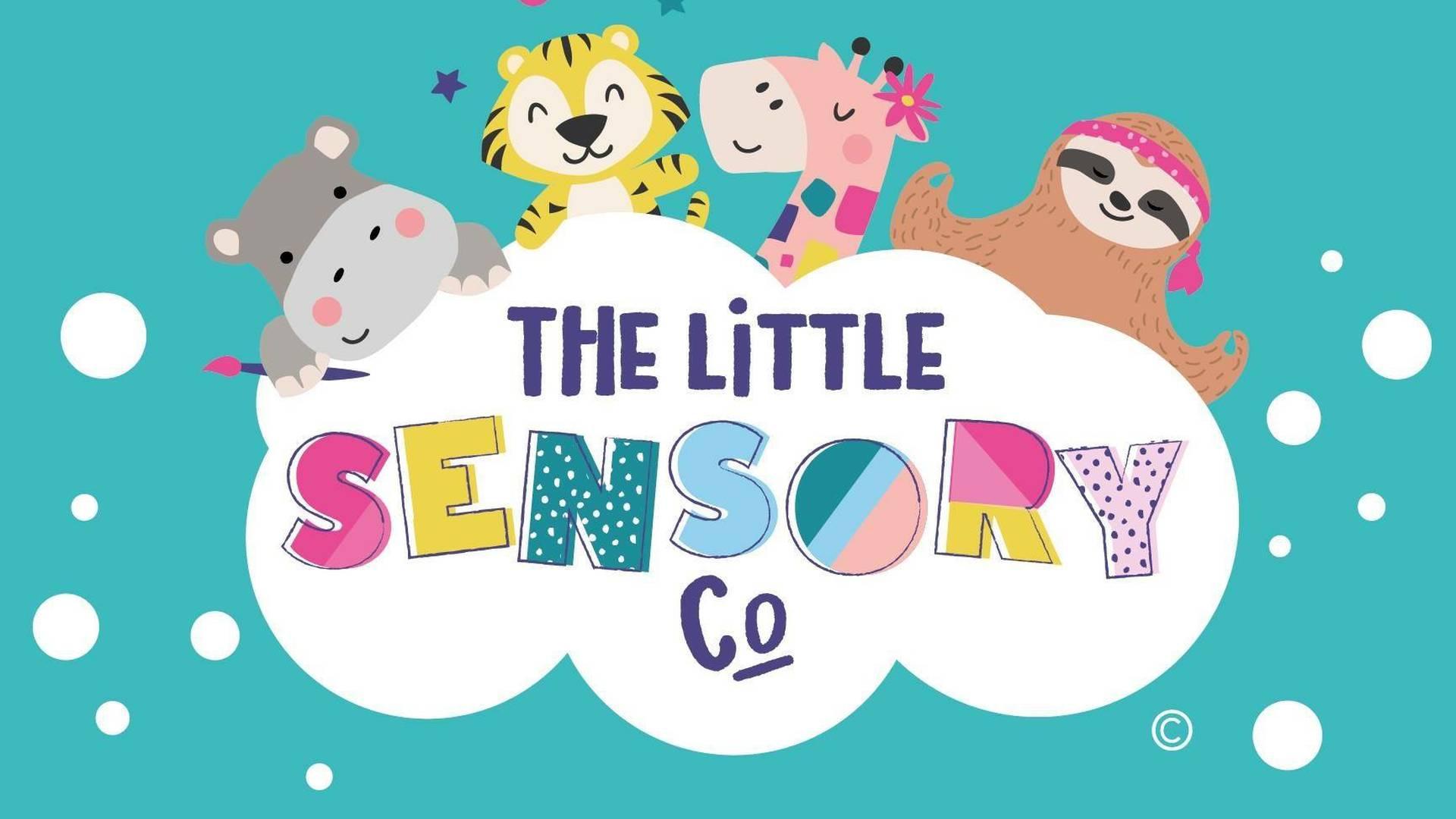 The Little Sensory Company Ltd photo