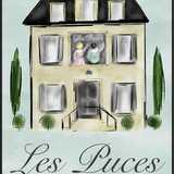 Les Puces Early Years French Classes logo
