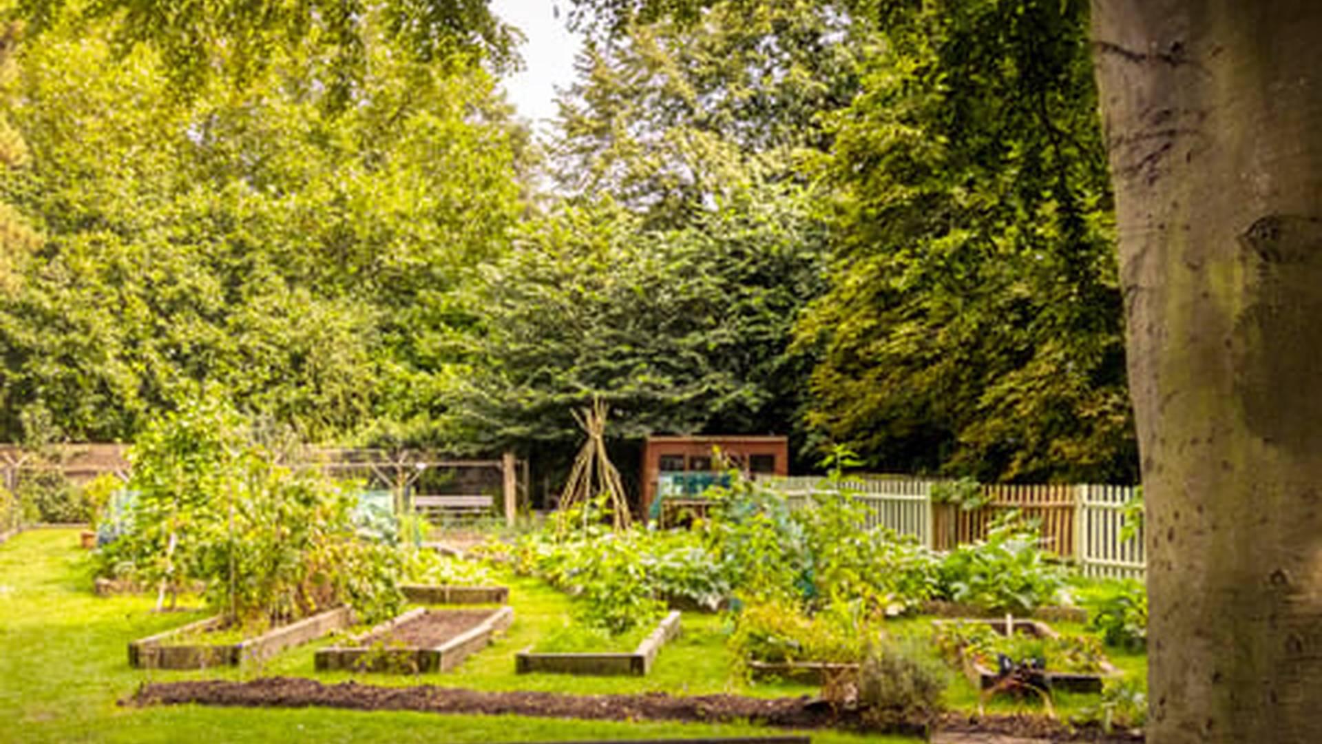 Kitchen Garden Sale At Marble Hill photo
