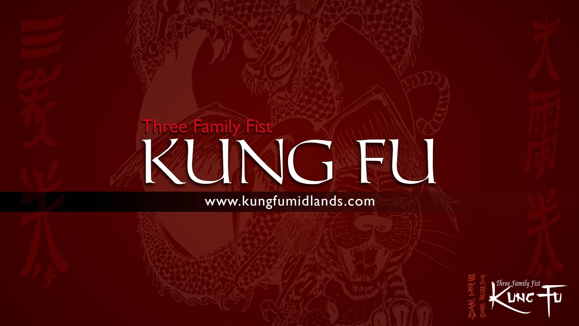 Three Family Fist Kung Fu photo