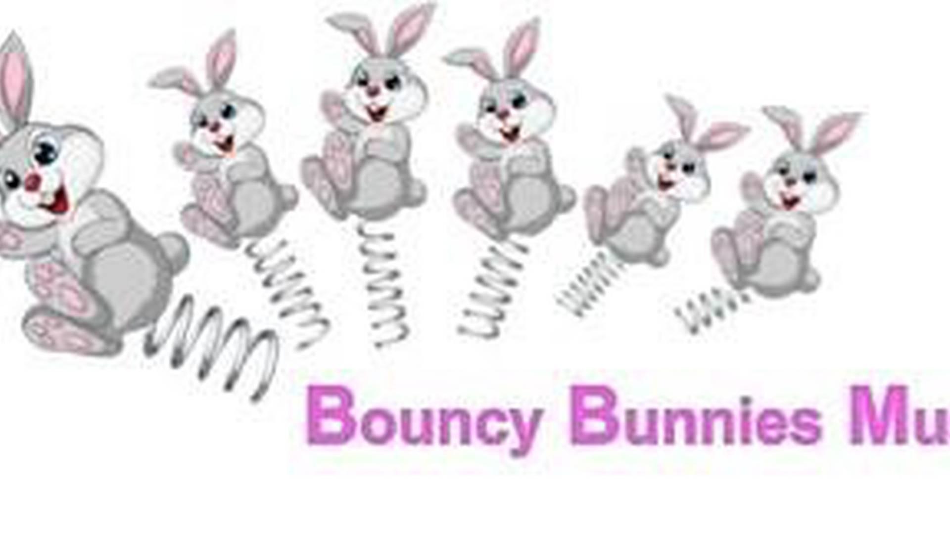 Bouncy Bunnies Music photo