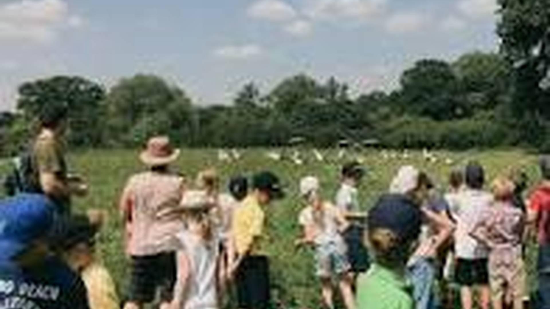 Wildlings: Rewild Your Child This Half Term! Ages 3-6 photo