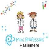 Mini Professors logo