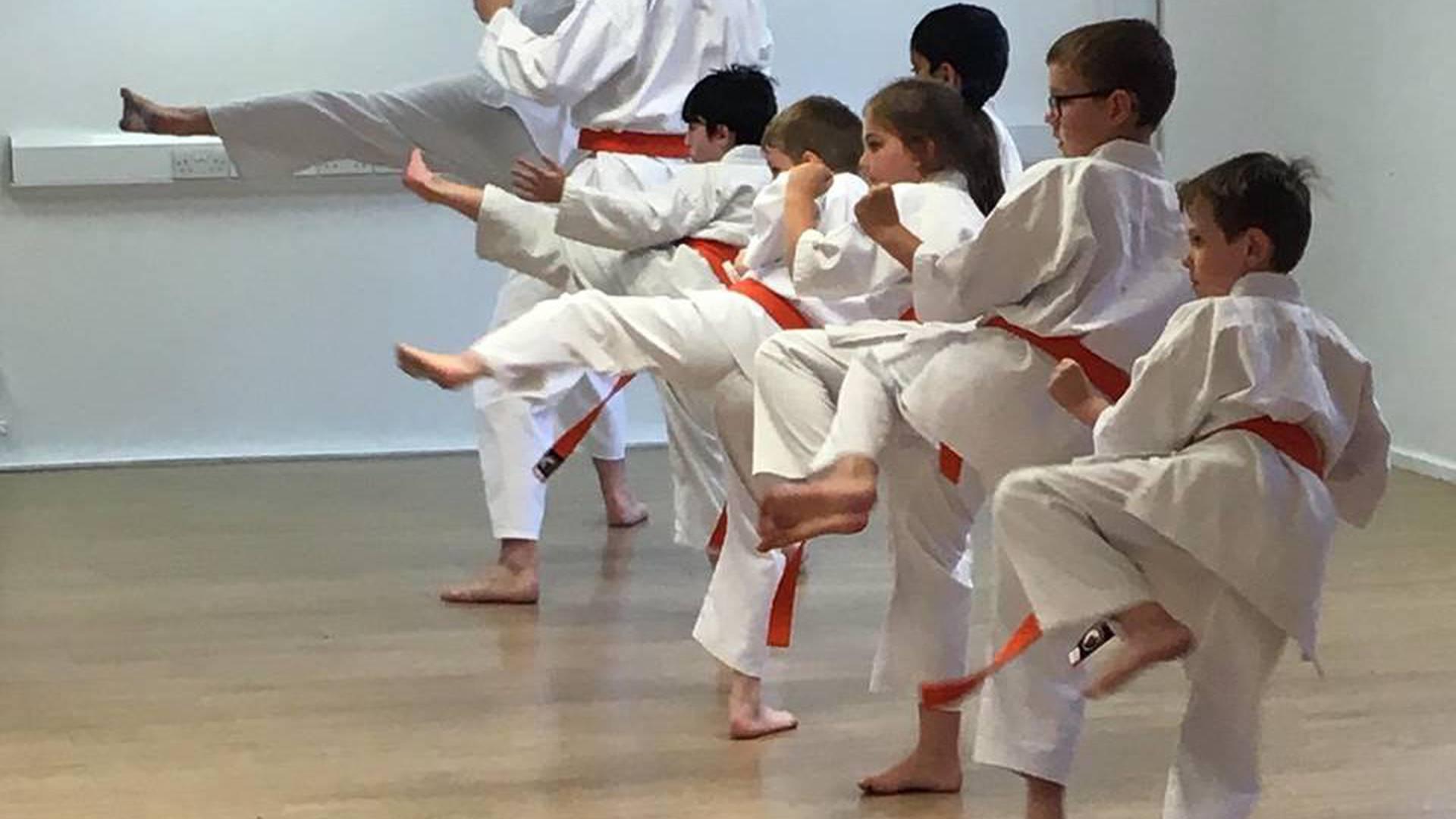 AS Karate Academy photo