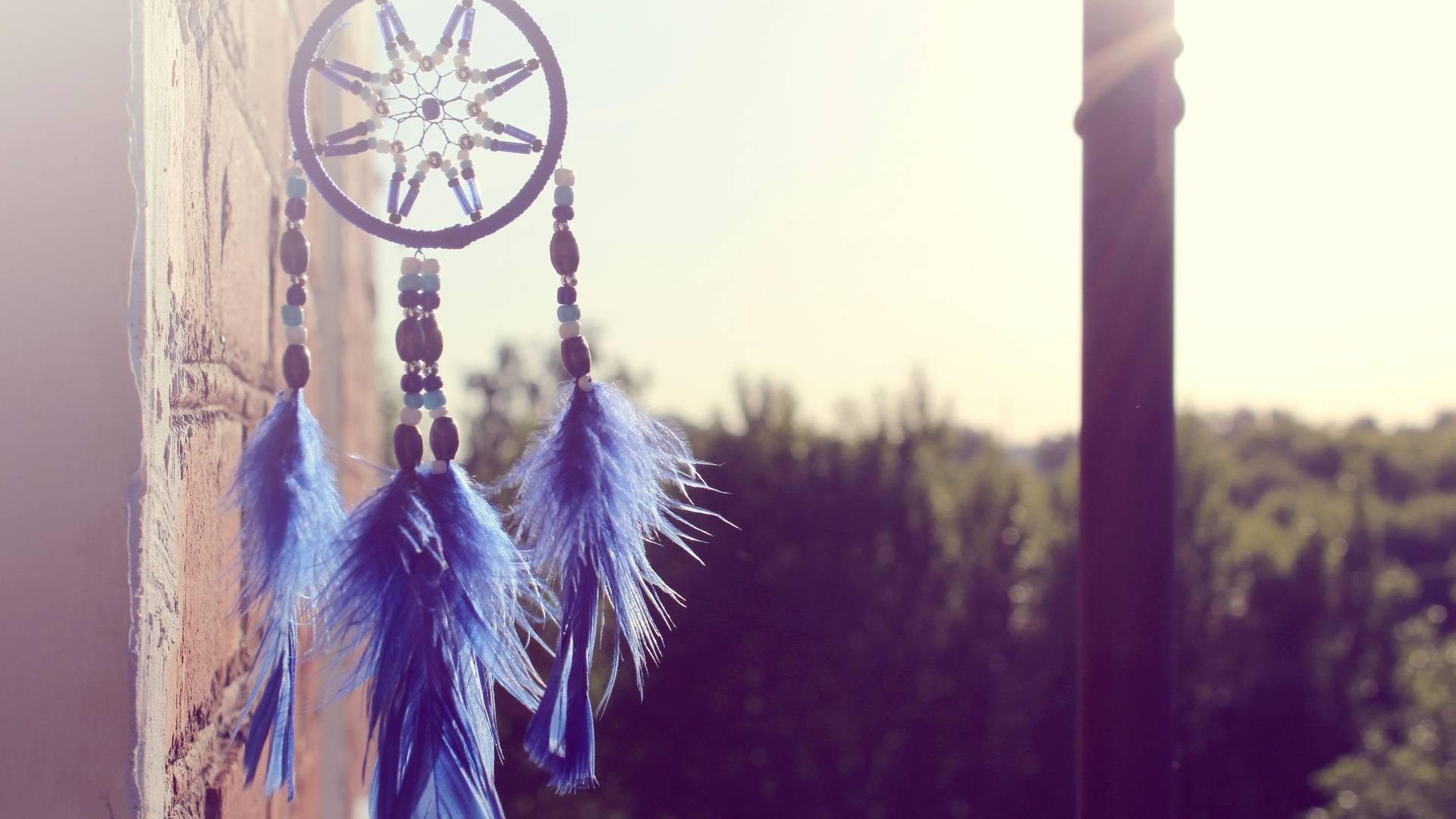 Draw Your Dreams photo