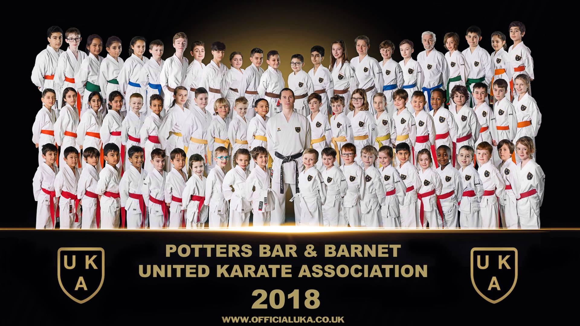 Potters Bar & Barnet Karate photo