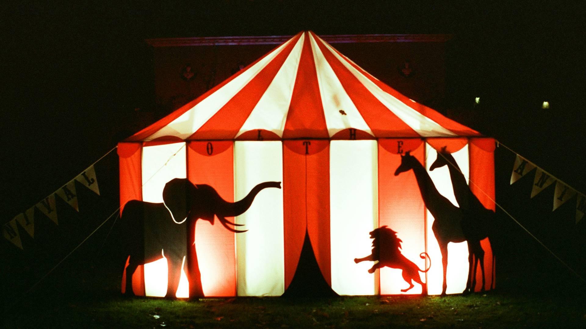 Papier-mâché Circus Animals photo