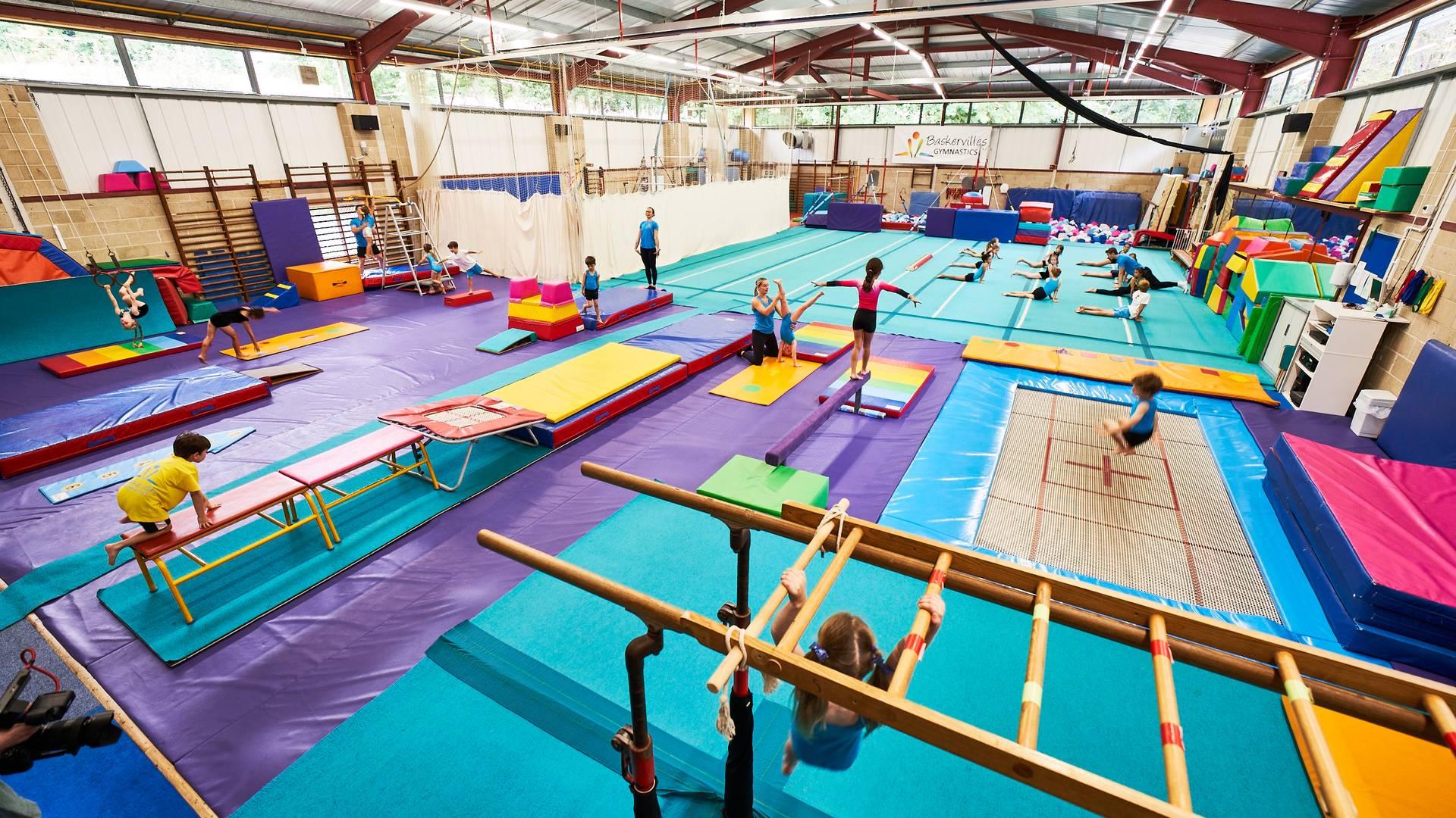 Baskervilles School of Gymnastics photo