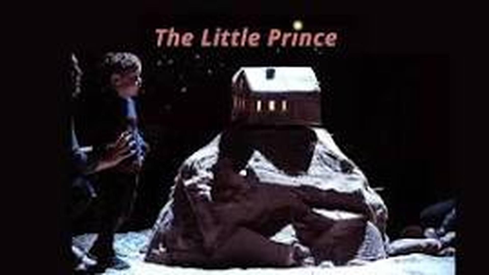 The Little Prince photo