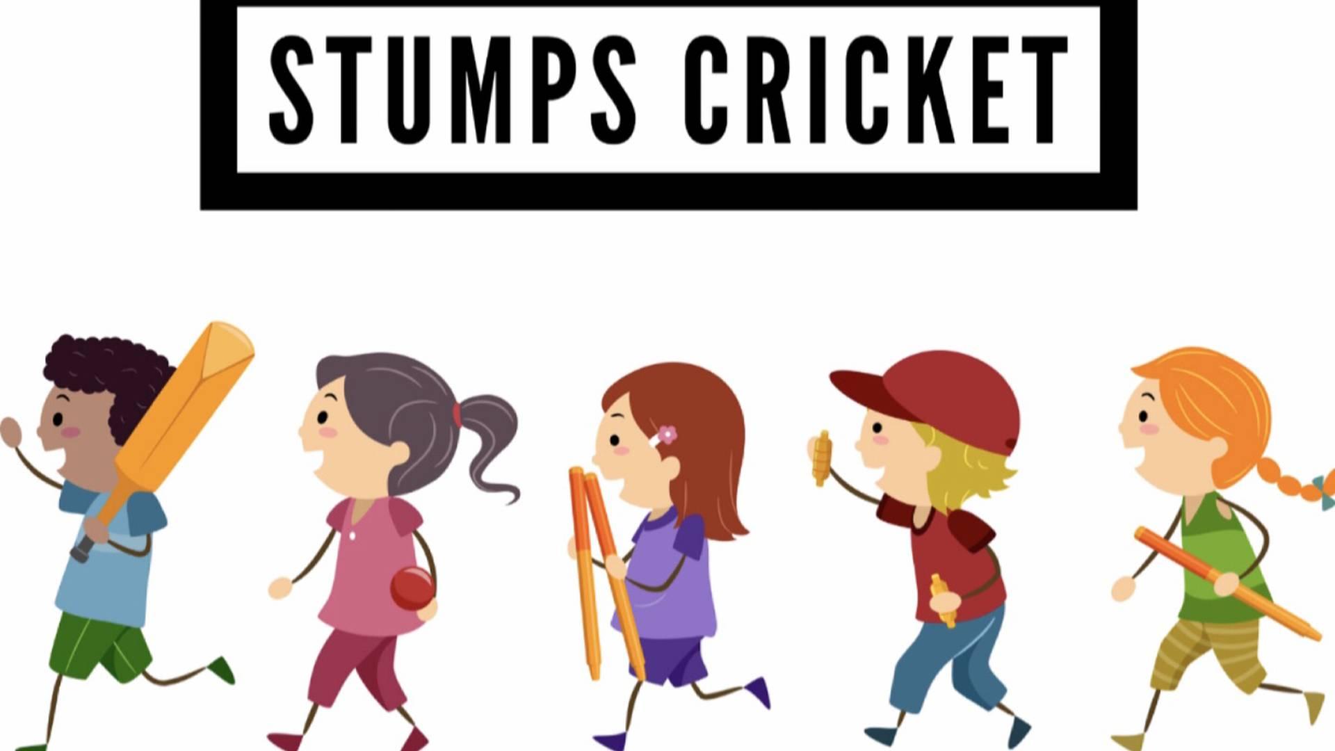 Stumps Cricket photo