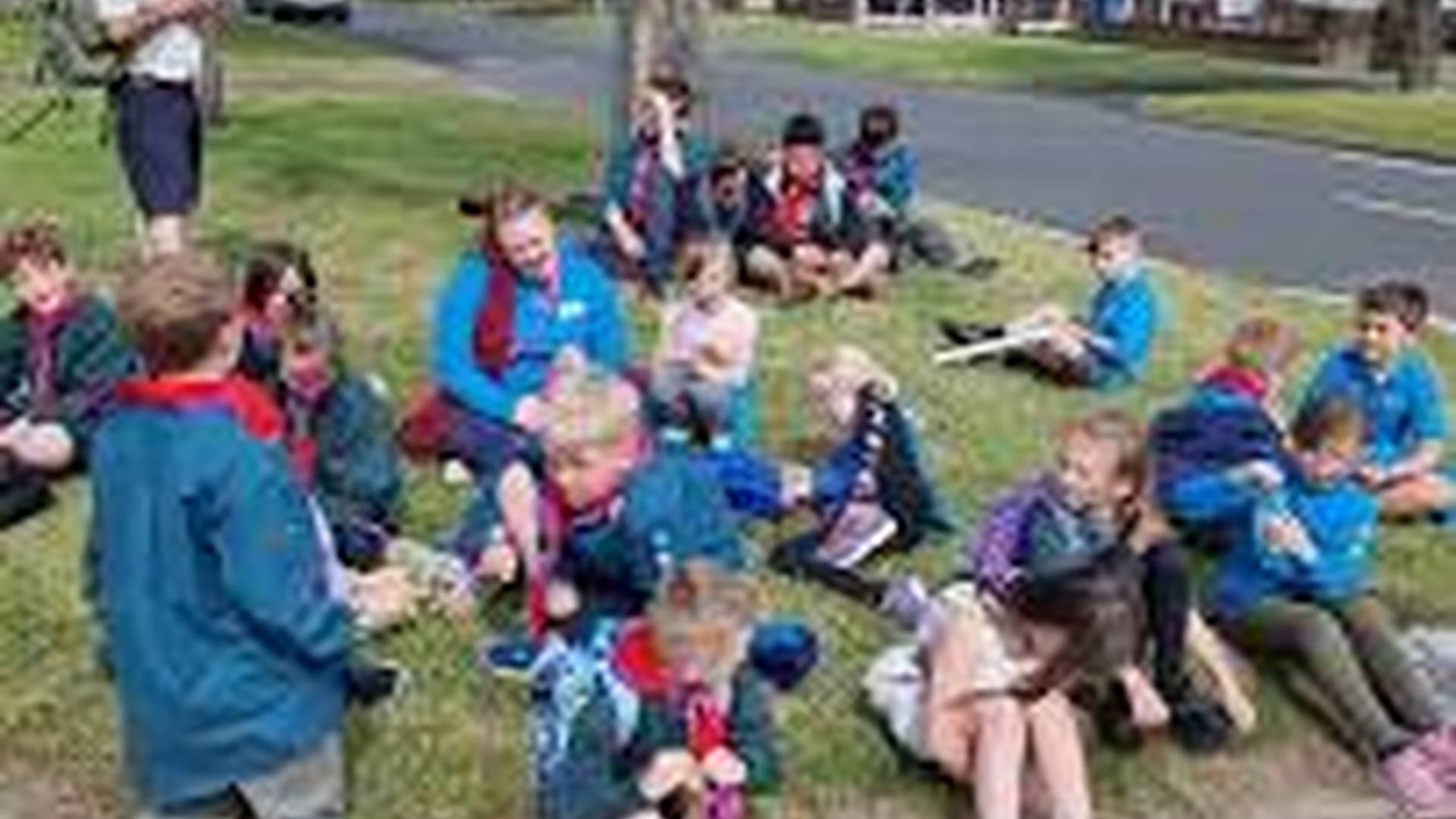 Beavers, Cubs and Scouts photo